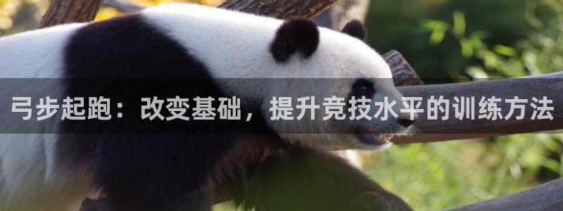 球速体育