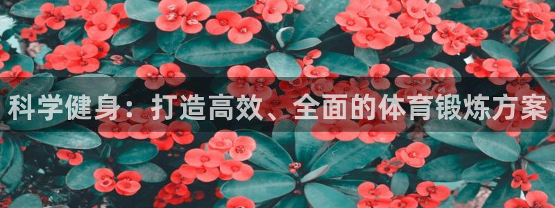 球速体育：科学健身：打造高效、全面的体育锻炼方案