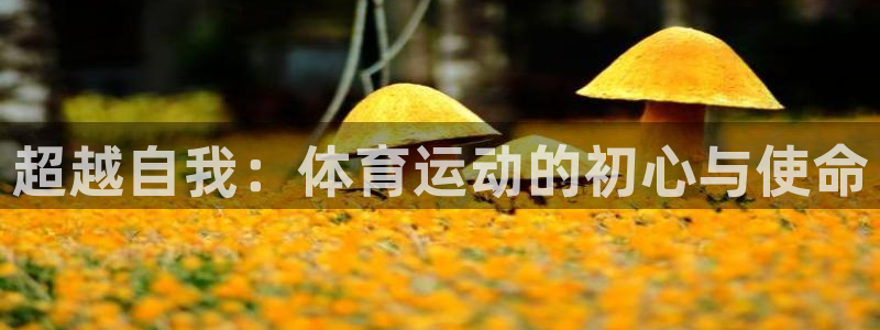 球速体育：超越自我：体育运动的初心与使命