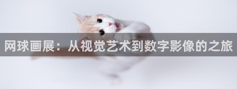 球速体育：网球画展：从视觉艺术到数字影像的之旅