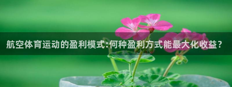 球速体育：航空体育运动的盈利模式:何种盈利方式能最大化收益？