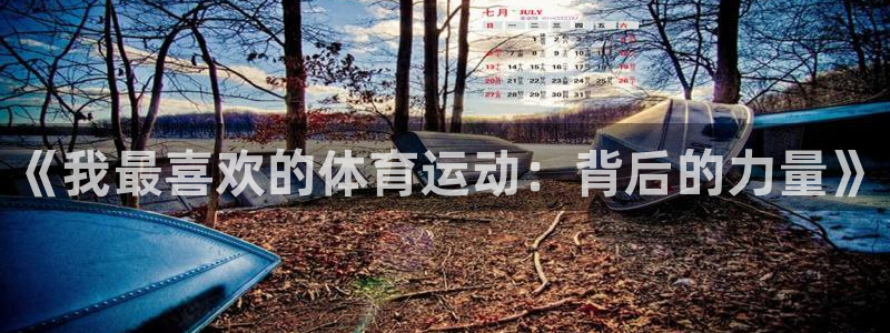 球速体育：《我最喜欢的体育运动：背后的力量》