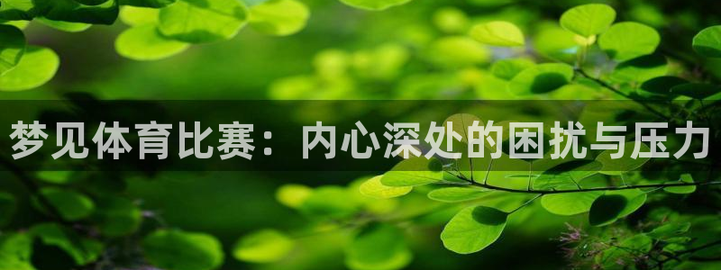 球速体育