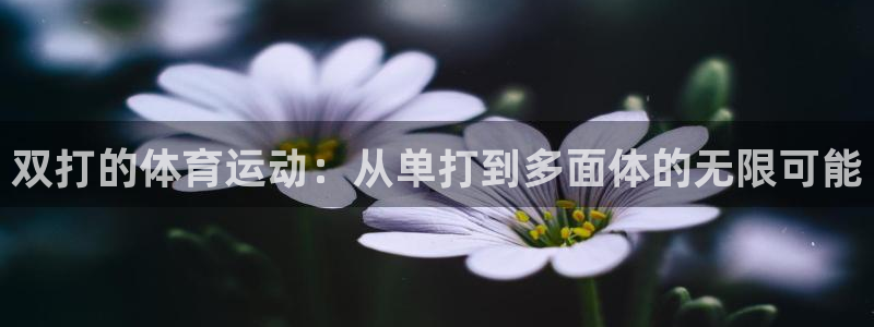球速体育：双打的体育运动：从单打到多面体的无限可能