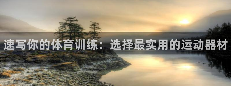 球速体育：速写你的体育训练：选择最实用的运动器材