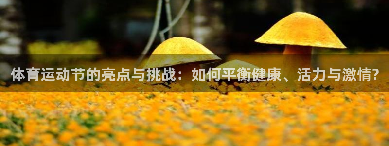 球速体育：体育运动节的亮点与挑战：如何平衡健康、活力与激情?