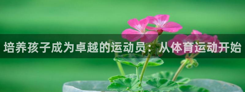 球速体育：培养孩子成为卓越的运动员：从体育运动开始