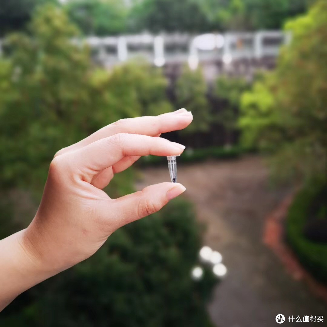 买了两年的智能养花机,是时候晒晒成果了