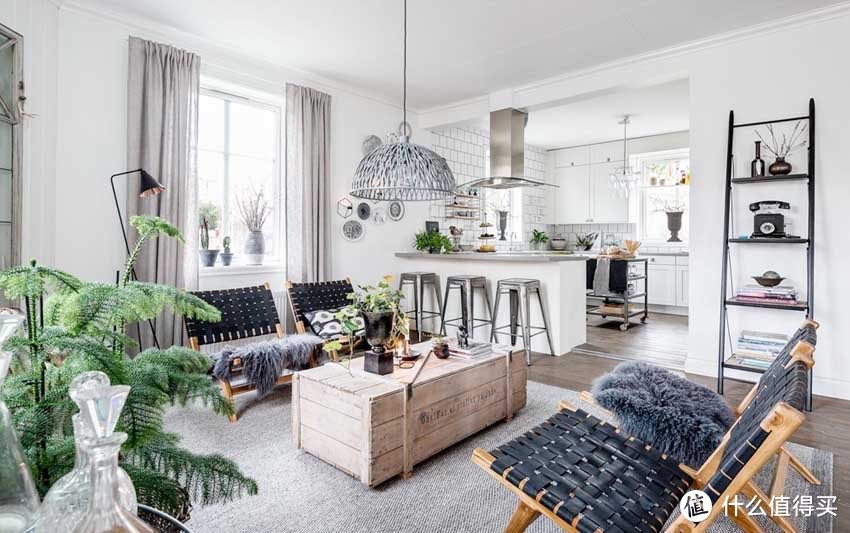推荐几款提高家居格调的绿植,瞬间提升幸福感!